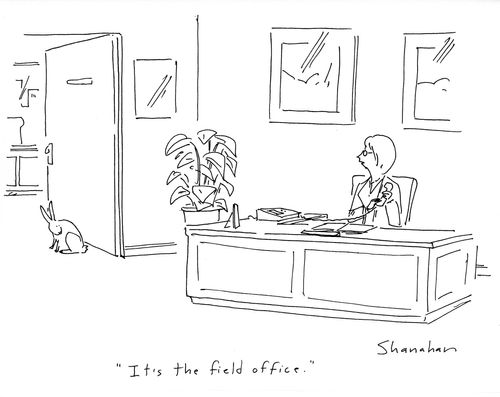 'it's the field office.'