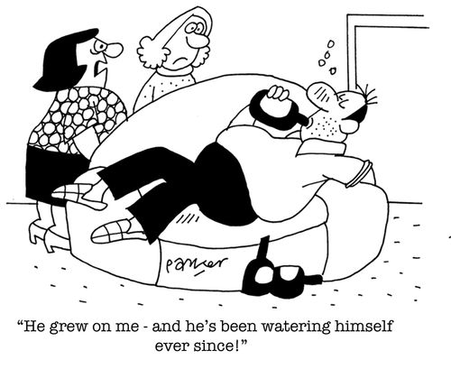 'He grew on me and he's been watering himself ever since!'