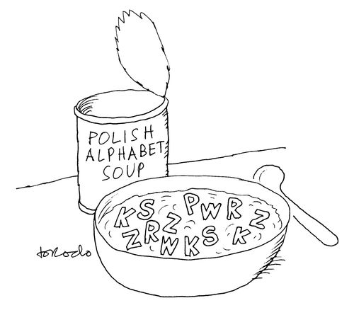 Polish Alphabet Soup.