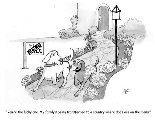 'You're the lucky one. My family's being transferred to a country where dogs are on the menu.'