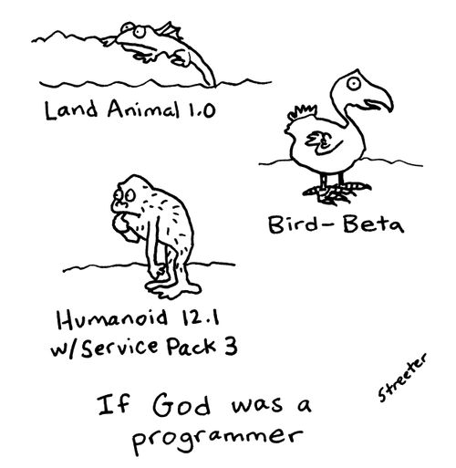 If God was a programmer