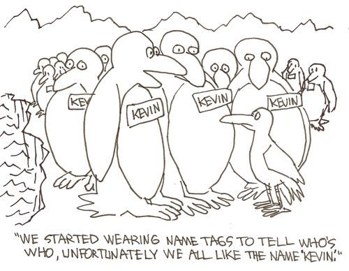 'We started wearing name tags to rell who's who, unfortunately we all like the name 'Kevin,!' 