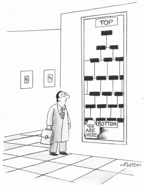 Corporate Flow Charts/Ladders