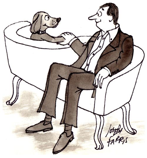 Dog and man on couch
