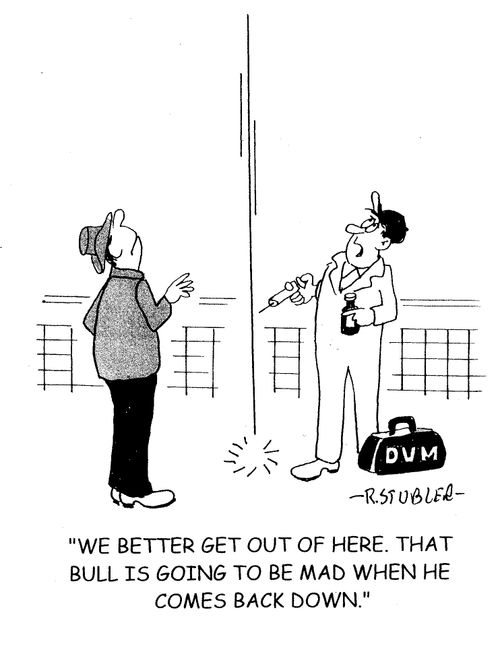 'WE better get out of here. That bull is going to be mad when he comes back down.'