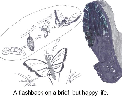 A flashback on a brief, but happy life.
