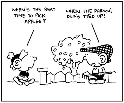 'When's the best time to pick apples?'