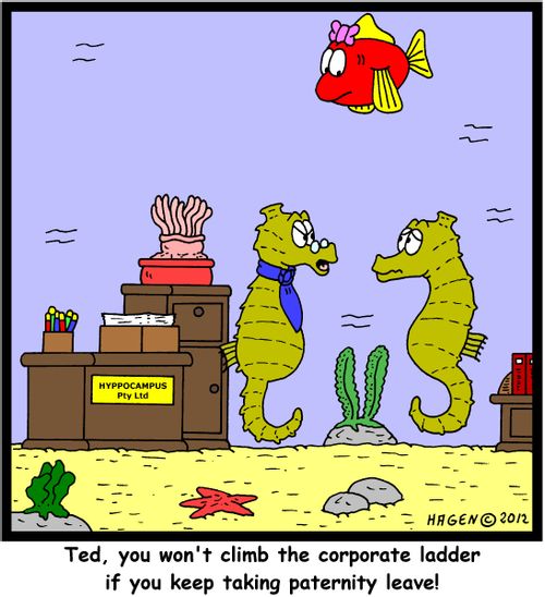 'Ted, you won't climb the corporate ladder if you keep taking paternity leave!'