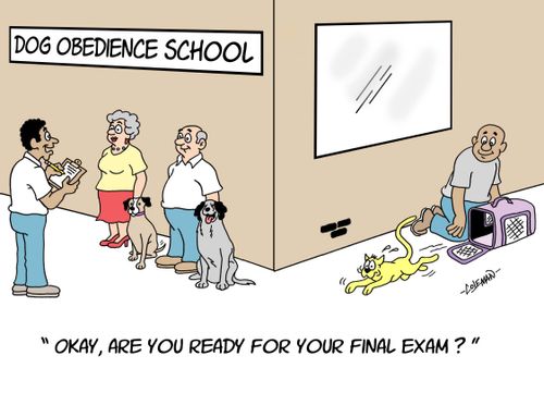 'Okay, are you ready for your final exam?'