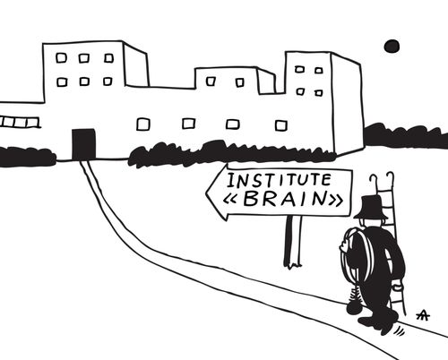 Institute (brain).