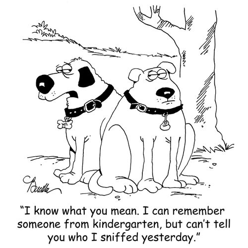 'I know what you mean. I can remember someone from kindergarten, but I can't tell you who I sniffed yesterday.'