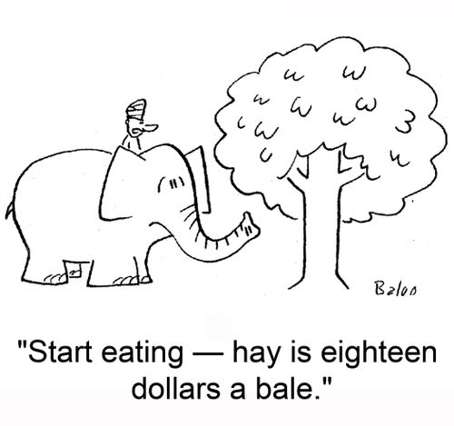 'Start eating -- hay is eighteen dollars a bale.'