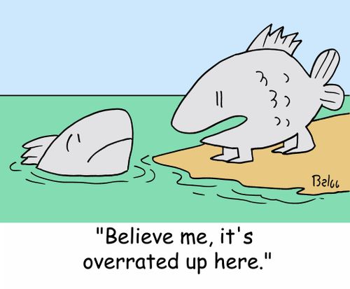'Believe me, it's overrated up here.'
