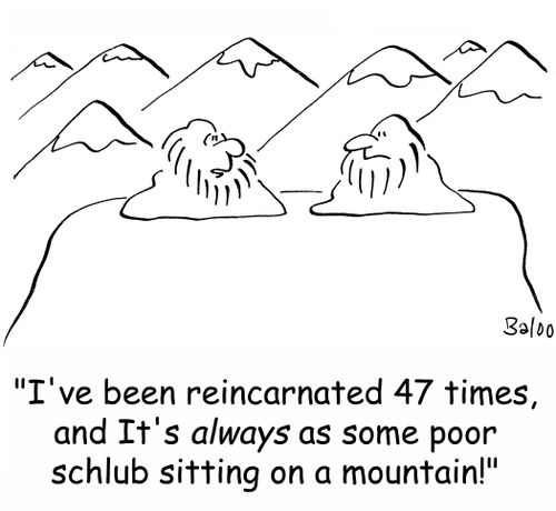 'I've been reincarnated 47 time, and it's ALWAYS as some poor schlub sitting on a mountain!'