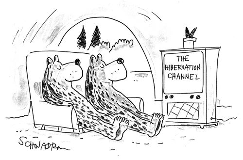 The Hibernation Channel