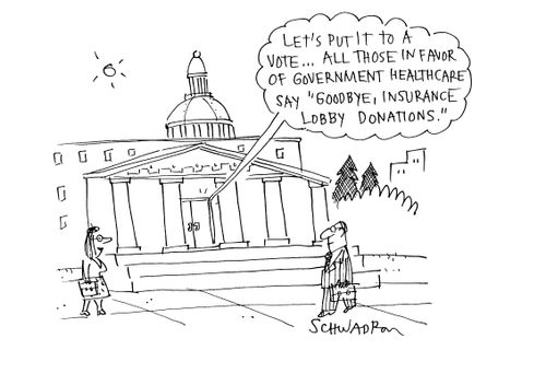 'Let's put it to a vote . . . all those in favor of government healthcare say 'goodbye, insurance lobby donations'.'