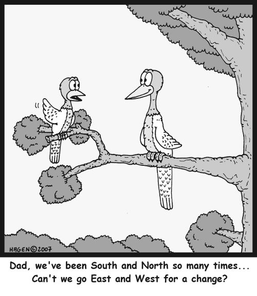 'Dad, we've been South and North so many times... Can't we go East and West for a change?'