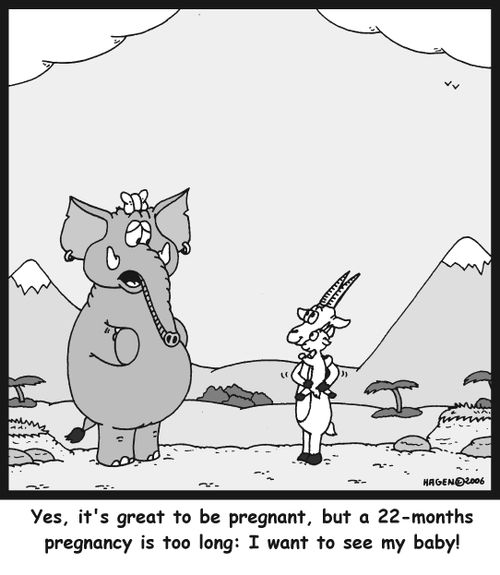 'Yes, it's great to be pregnant, but a 22-months pregnancy is too long: I want to see my baby!'