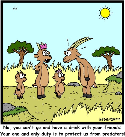'No, you can't go and have a drink with your friends: Your one and only duty is to protect us from predators'