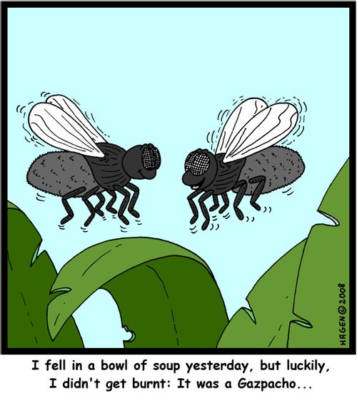 'I fell in a bowl of soup yesterday, but luckily, I didn't get burnt: It was a Gazpacho...'