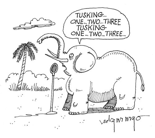 'Tusking...one...two...three. Tusking one...two...three...'