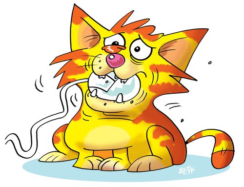 Cat eats mouse.