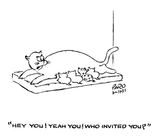'Hey you! Yeah, you! Who invited you?'