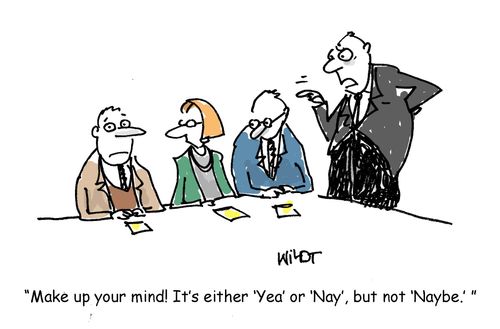 'Make up your mind! It's either ‘Yea' or ‘Nay', but not ‘Naybe.' ' 