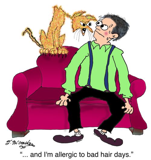 ' ... and I'm allergic to bad hair days.'