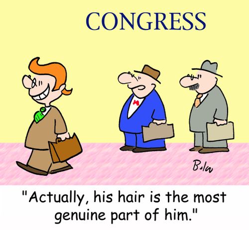 CONGRESS, 'Actually, his hair is the most genuine part of him.'
