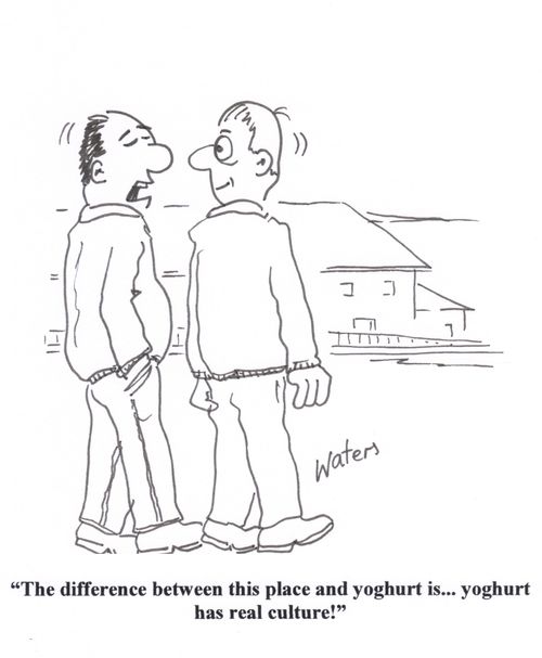'The difference between this place and yoghurt is... Yoghurt has real culture!'