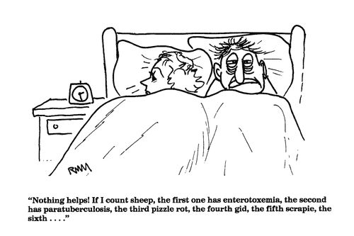 'Nothing helps! If I count sheep, the first one has enterotoxemia...'
