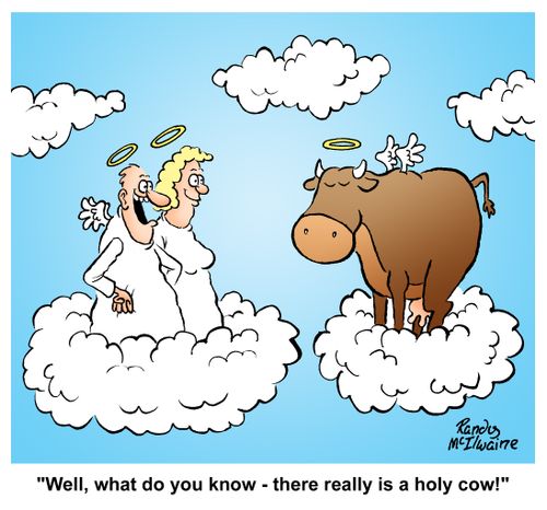 'Well, what do you know - there really is a holy cow!'