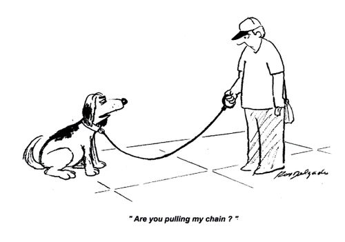 'Are you pulling my chain?'