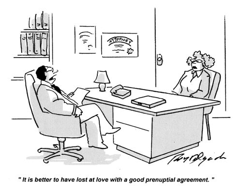 'It is better to have lost at love with a good prenuptial agreement.'