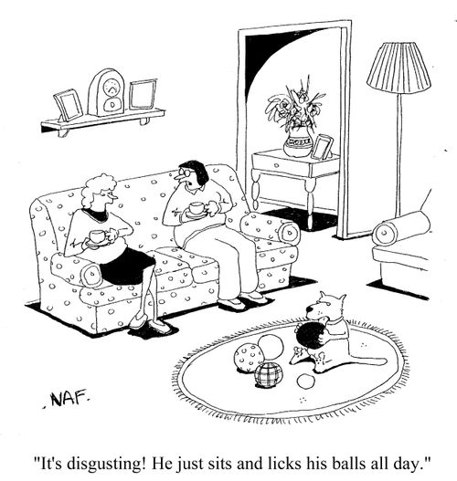 'It's disgusting! He just sits and licks his balls all day.'