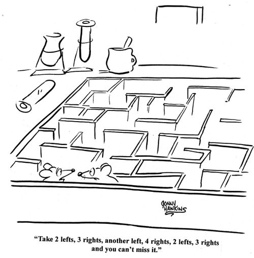 Mice in maze - 'Take 2 lefts, 3 rights, another left, 4 rights, 2 lefts, 3 rights and you can't miss it.'