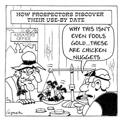 "...These are chicken nuggets."