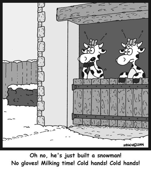 "Oh no, he's just built a snowman! No gloves! Milking time! Cold hands! Cold hands!"