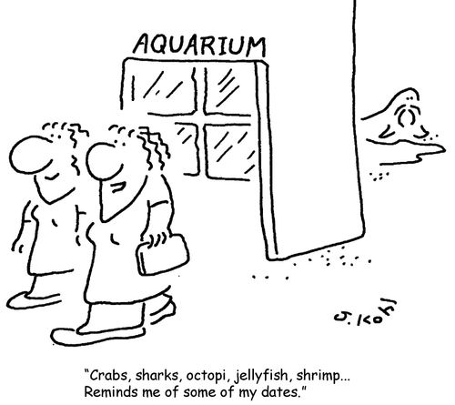 'Crabs, sharks, octopi...'