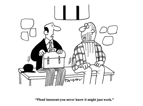 'Plead innocent-you never know it might just work.'