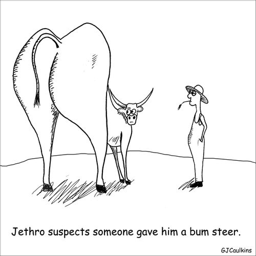Jethro suspects someone gave him a bum steer.