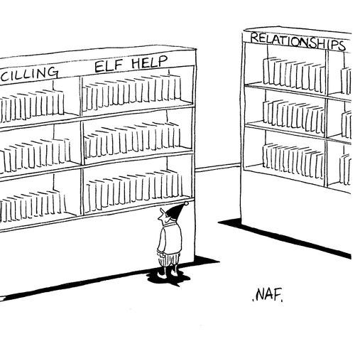 Elf help section of a bookshop.