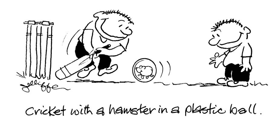 Cricket with a hamster in a plastic ball.