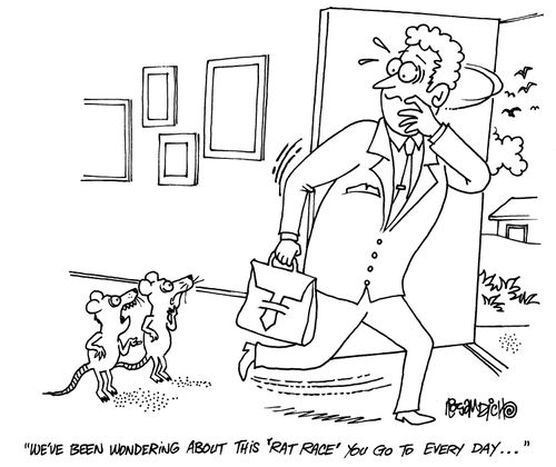 'We've been wondering about this 'rat race' you go to everyday...'