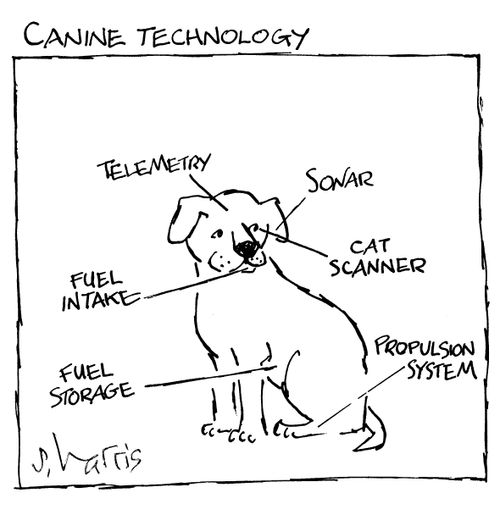Canine Technology
