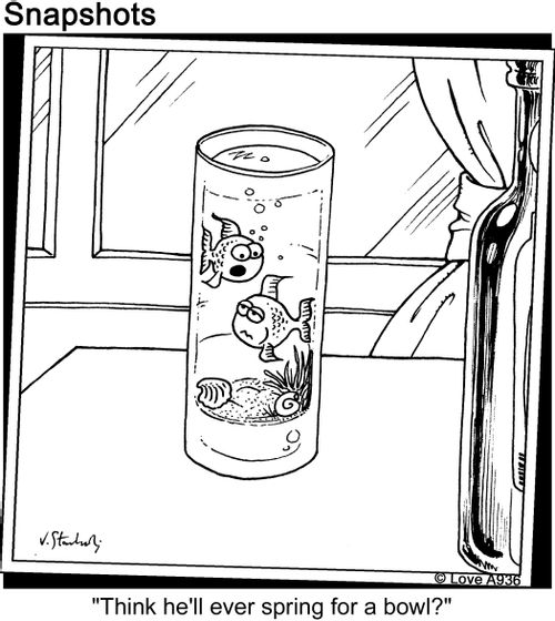 'Think he'll ever spring for the bowl?'
