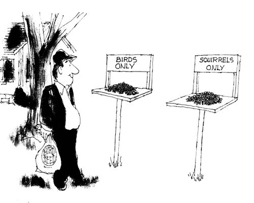 Birds only/Squirrels Only.