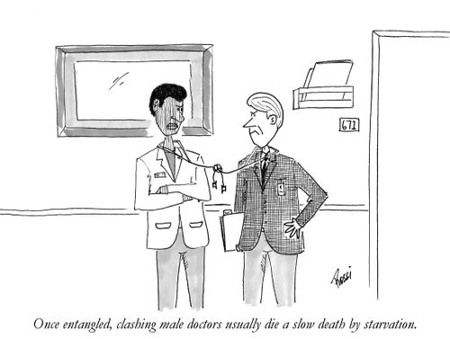 Once entangled, clashing male doctors usually die a slow death by starvation.