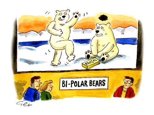 Bi Polar Bears